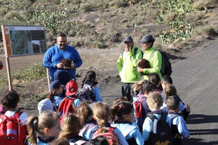 SENDEROS ESCOLARES AULA NATURALEZA (12) Noticias | El Cabildo adjudica el programa Senderos Educativos para acercar el patrimonio natural a la comunidad educativa