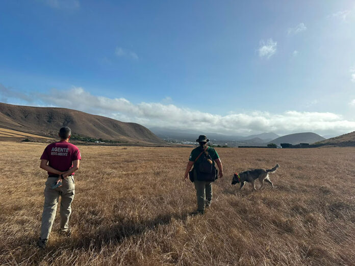 Unidad-Canina-en-Lanzarote-2 Noticias | Medio Ambiente despliega un dispositivo especial de inspección y vigilancia con apoyo de la Unidad Canina