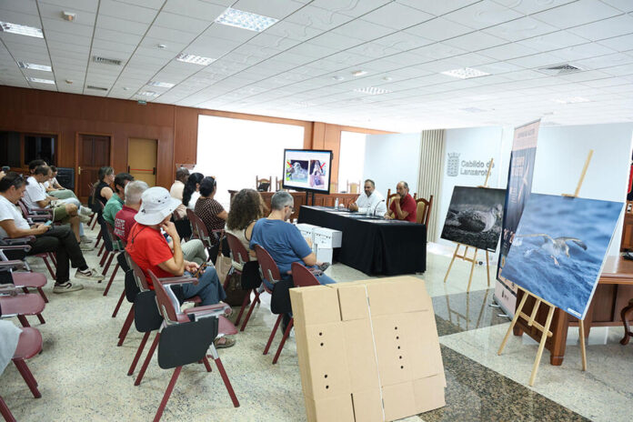 CAMPAÑA-DE-PARDELAS--(9) Noticias | El Cabildo coordina con los ayuntamientos y los servicios de emergencia la Campaña de Aleteo de pardelas 2026