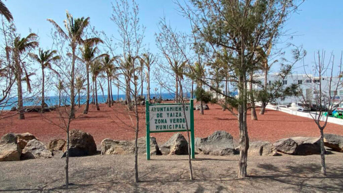 La-zona-verde-de-Playa-Blanca Noticias Yaiza | El PP de Yaiza reclama al Gobierno municipal la desaparición de las zonas ajardinadas del municipio