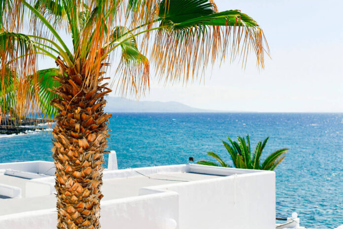 Turismo Noticias | Las patronales turísticas advierten de que la liberalización de usos en inmuebles turísticos pone en riesgo el futuro del sector extrahotelero de Canarias