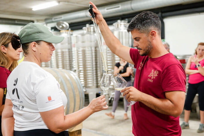 Vinos de Lanzarote Noticias Yaiza | La Denominación de Origen Vinos de Lanzarote hace balance de un año con buenas perspectivas para el sector