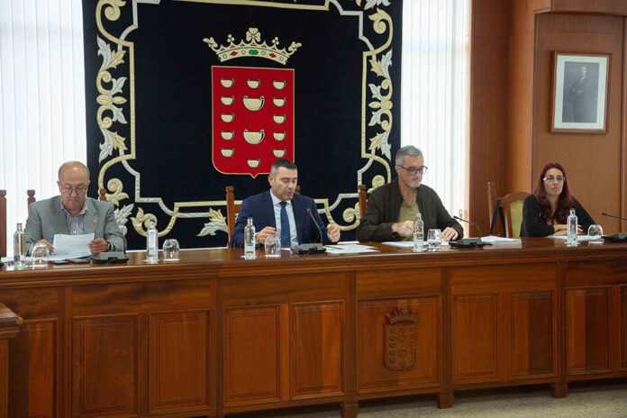 Constitución-Consejo-Insular-del-Tercer-Sector--(3) Noticias | El Cabildo constituye el Consejo Insular del Tercer Sector para reforzar la participación y la coordinación social