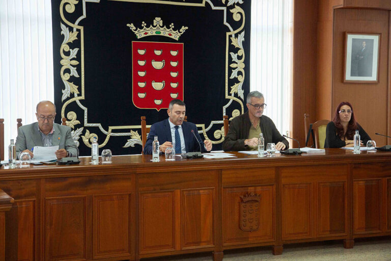 Noticias | El Cabildo constituye el Consejo Insular del Tercer Sector para reforzar la participación y la coordinación social