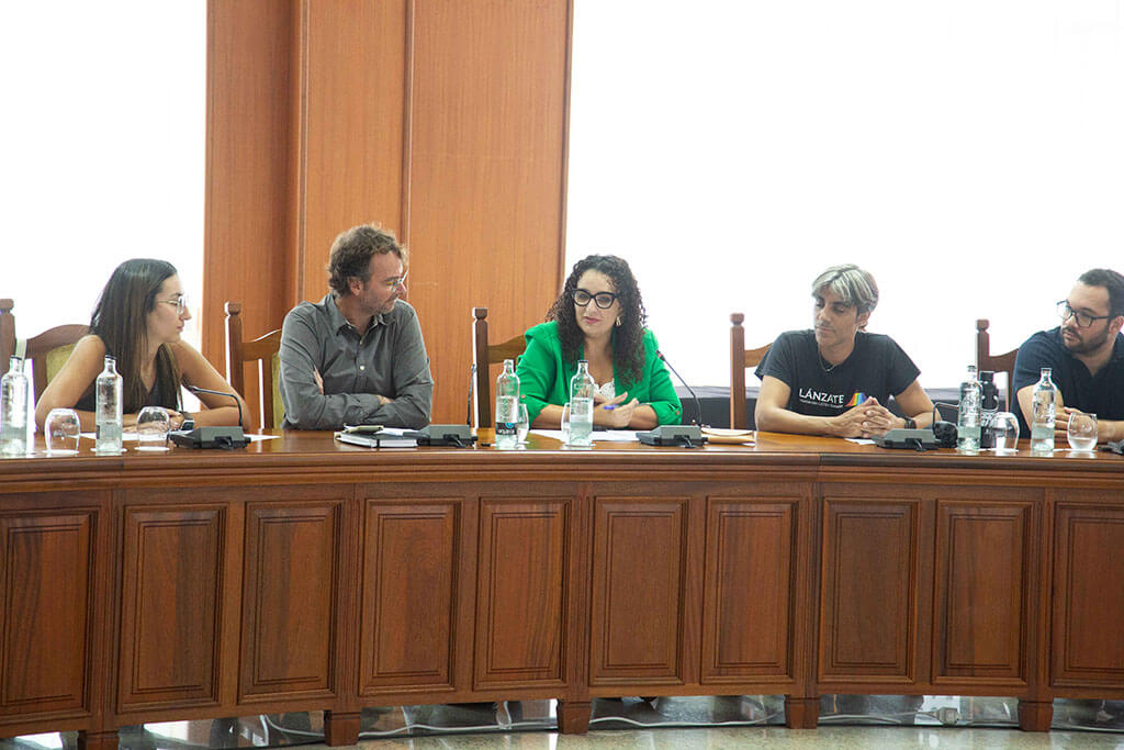 El Cabildo constituye el Consejo Insular del Tercer Sector para reforzar la participación y la coordinación social