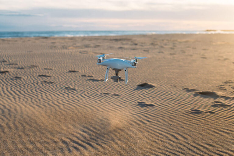 Noticias | El Cabildo advierte de que el uso de drones puede provocar graves alteraciones en la avifauna